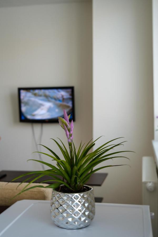 Apartmán Kapitána Nálepku Anna Lipótszentmiklós Kültér fotó